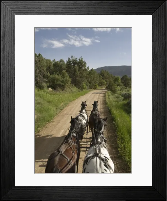 Framed Print : Bartels Mancos Valley Stage Line Framed Print : Bartels Mancos Valley Stage Line