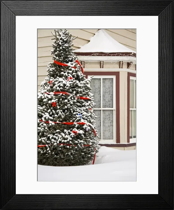 Framed Print : House with Christmas tree Framed Print : House with Christmas tree
