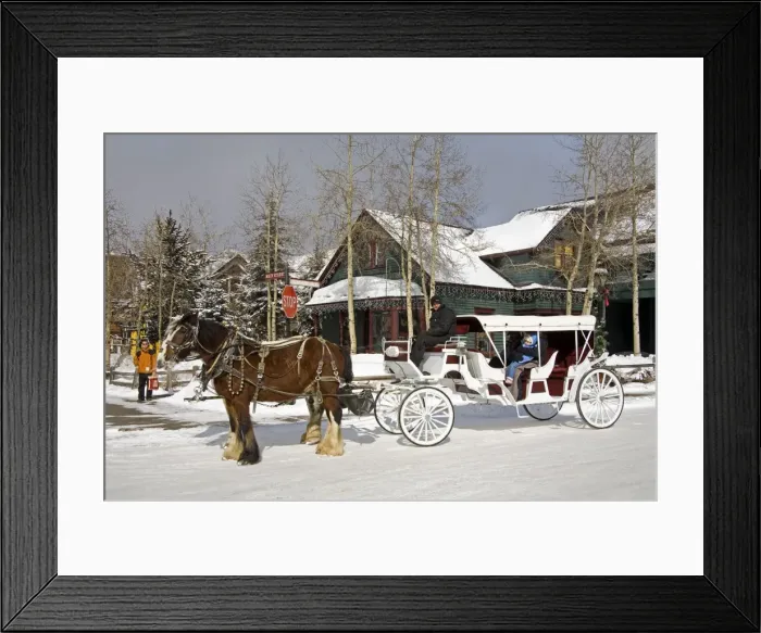 Framed Print : Horse and carriage Framed Print : Horse and carriage