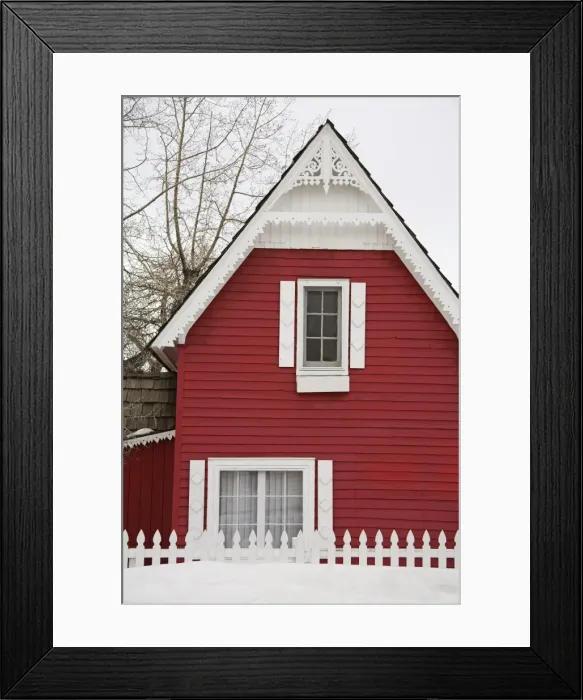 Framed Print : House, City of Leadville Framed Print : House, City of Leadville