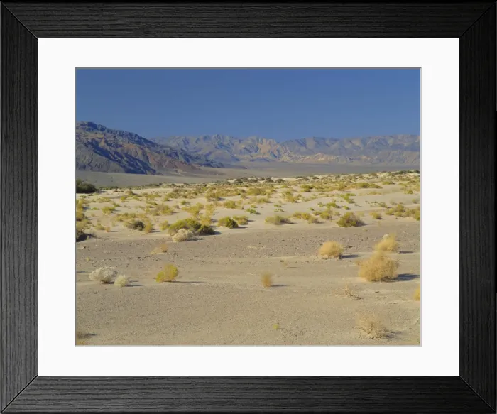 Framed Print : Death Valley National Park Framed Print : Death Valley National Park