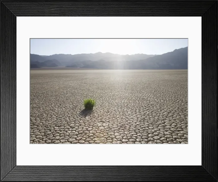 Framed Print : Grass in dried earth Framed Print : Grass in dried earth