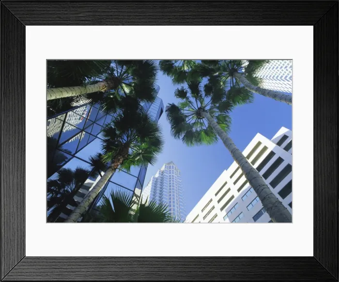 Framed Print : Tampa, Florida, USA