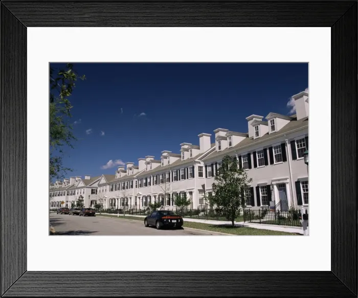 Framed Print : Celebration Framed Print : Celebration