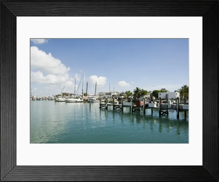 Framed Print : Marina, Key West Framed Print : Marina, Key West