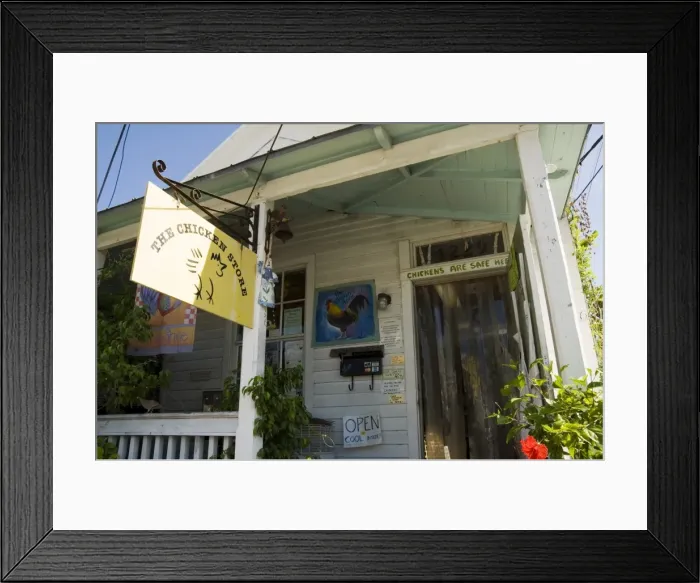 Framed Print : The Chicken Store with chickens inside and out Framed Print : The Chicken Store with chickens inside and out