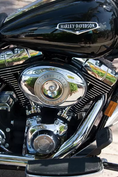 Harley Davidson motorcycle