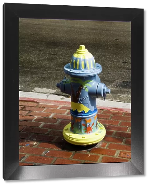 Painted fire hydrant