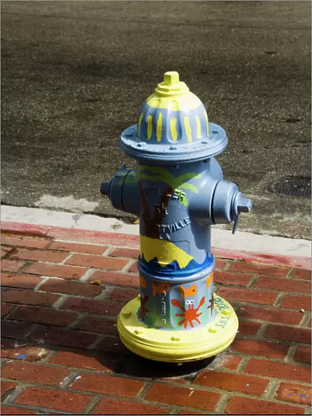 Painted fire hydrant