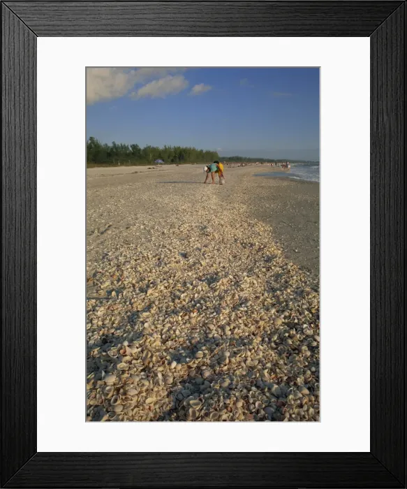Framed Print : Shell collecting on Bowmans Beach Framed Print : Shell collecting on Bowmans Beach