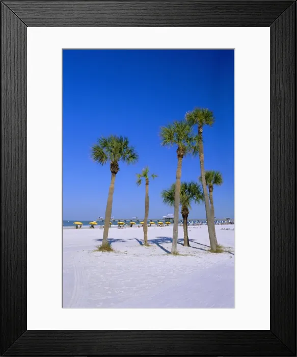 Framed Print : Palms and beach Framed Print : Palms and beach