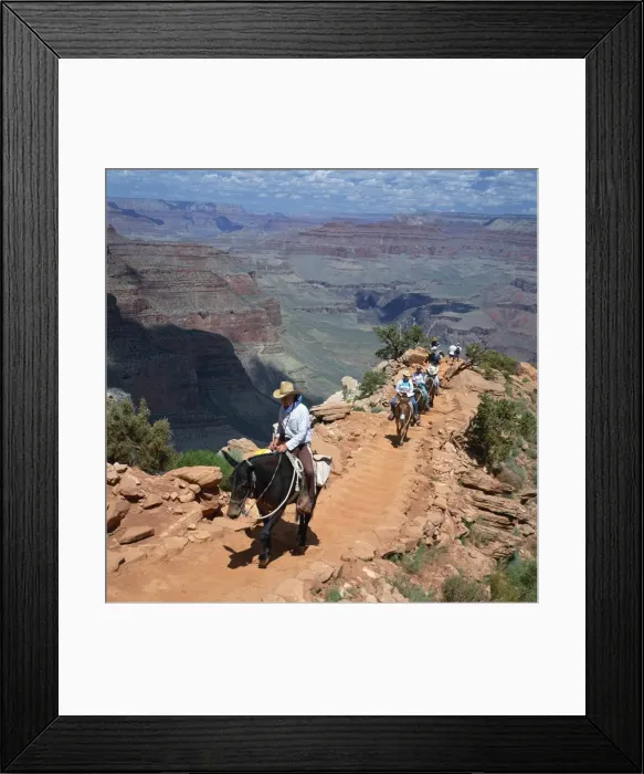 Framed Print : Tourists on horseback returning from trekking in the Grand Canyon Framed Print : Tourists on horseback returning from trekking in the Grand Canyon