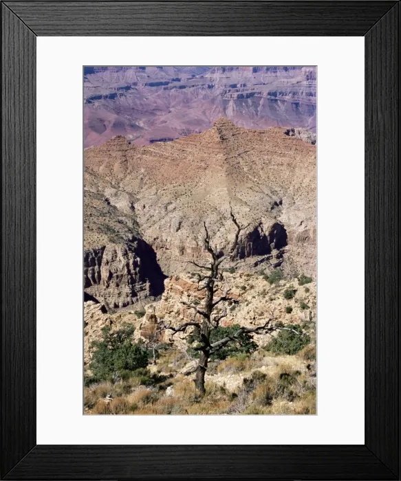 Framed Print : South Rim, Grand Canyon Framed Print : South Rim, Grand Canyon