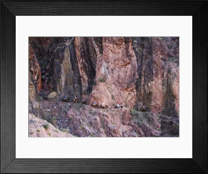 Framed Print : Mules taking tourists along the Colorado River Trail Framed Print : Mules taking tourists along the Colorado River Trail