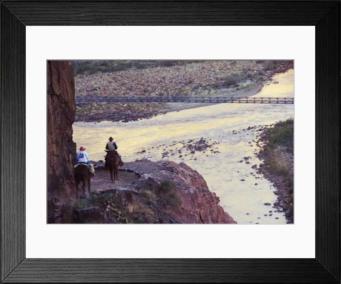 Framed Print : Mules taking tourists along the Colorado River Trail Framed Print : Mules taking tourists along the Colorado River Trail
