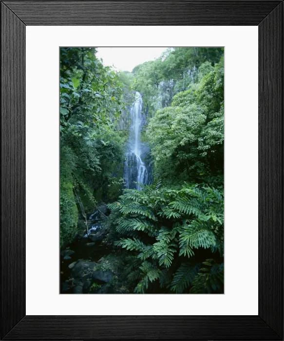 Framed Print : The one hundred foot Wailua falls near Oheo Framed Print : The one hundred foot Wailua falls near Oheo