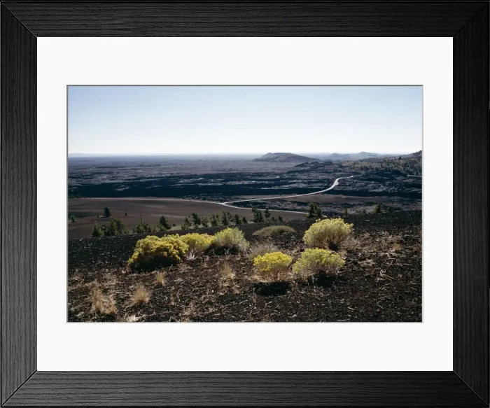 Framed Print : Yellow flowering plants and loop road seen from Inferno cone Framed Print : Yellow flowering plants and loop road seen from Inferno cone