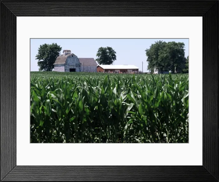 Framed Print : Barns on farm Framed Print : Barns on farm