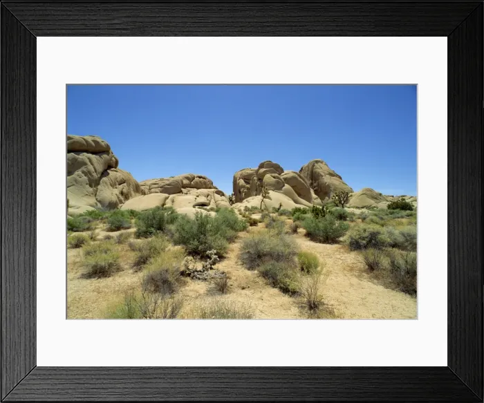 Framed Print : Joshua Tree National Monument Framed Print : Joshua Tree National Monument