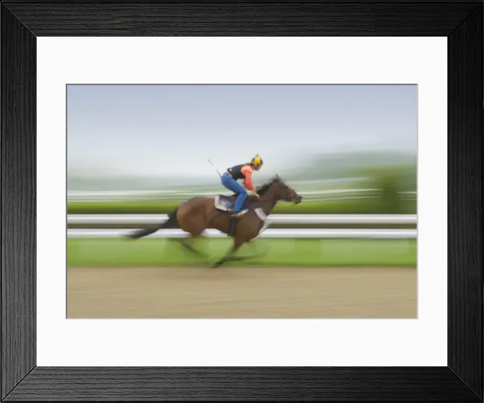 Framed Print : Kenneland, Lexington