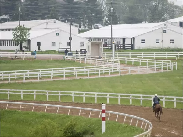 The Thoroughbred Center