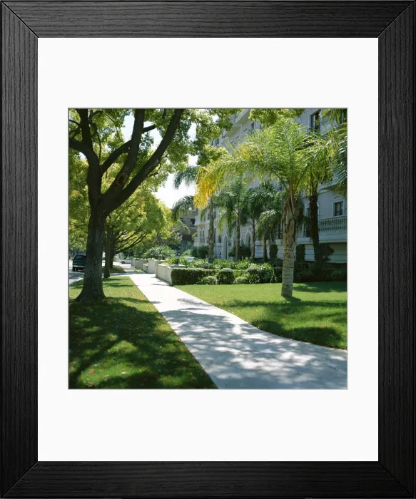 Framed Print : Trees and grass along sidewalk