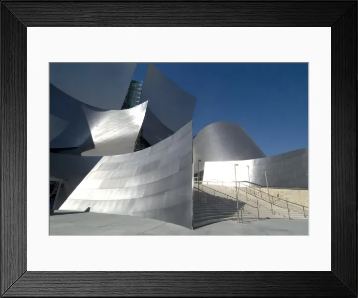 Framed Print : Walt Disney Concert Hall Framed Print : Walt Disney Concert Hall
