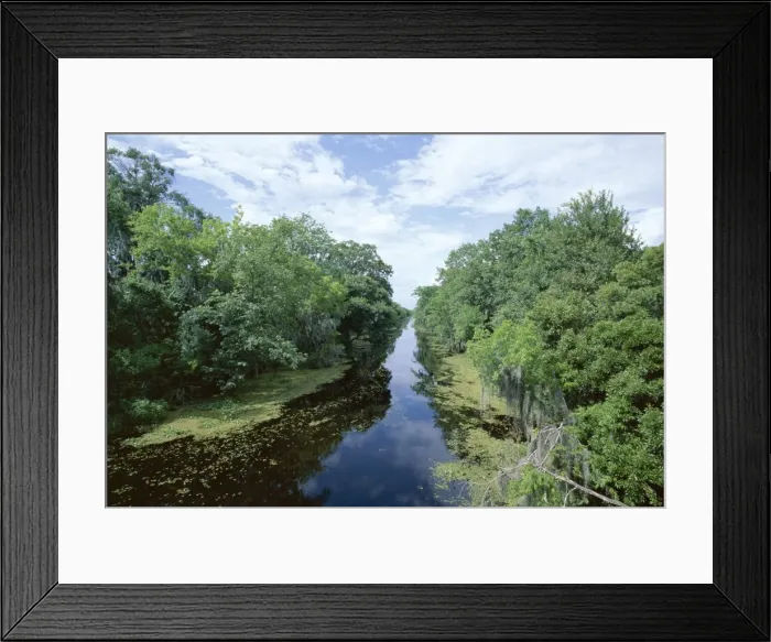 Framed Print : Bayou in swampland at Jean Lafitte National Historic Framed Print : Bayou in swampland at Jean Lafitte National Historic