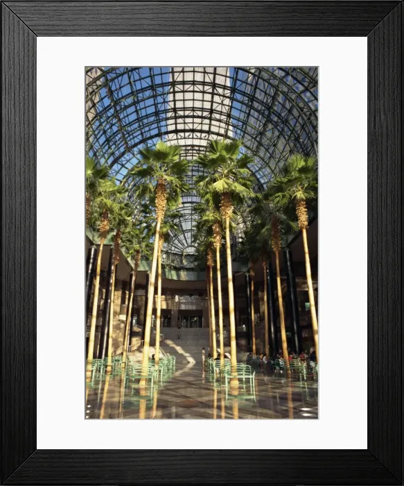Framed Print : Palm trees in the Winter Garden atrium Framed Print : Palm trees in the Winter Garden atrium