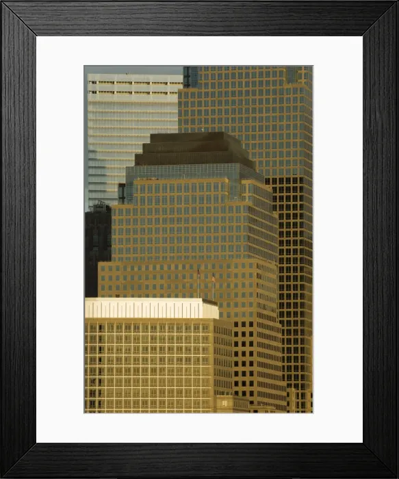 Framed Print : World Financial Center Buildings