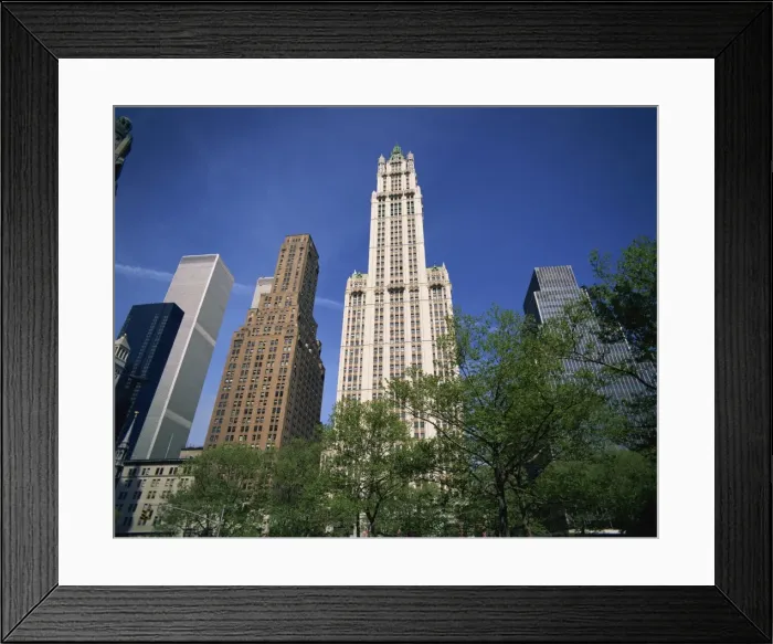 Framed Print : The Woolworth Building Framed Print : The Woolworth Building