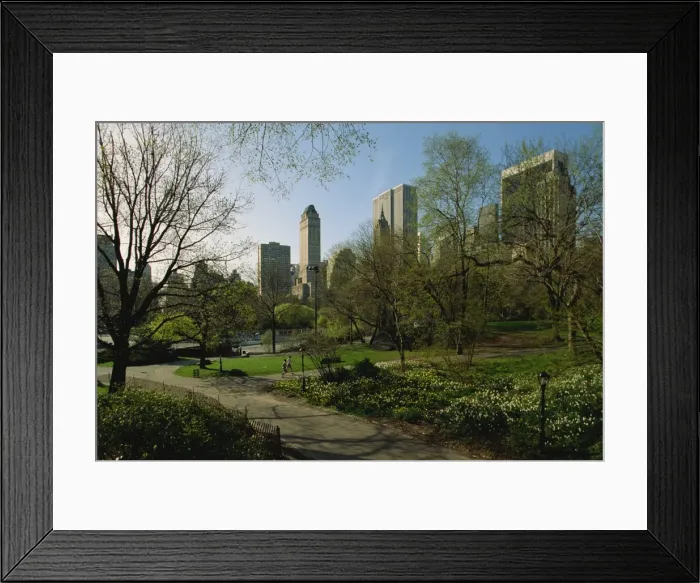 Framed Print : City skyline seen from Central Park Framed Print : City skyline seen from Central Park