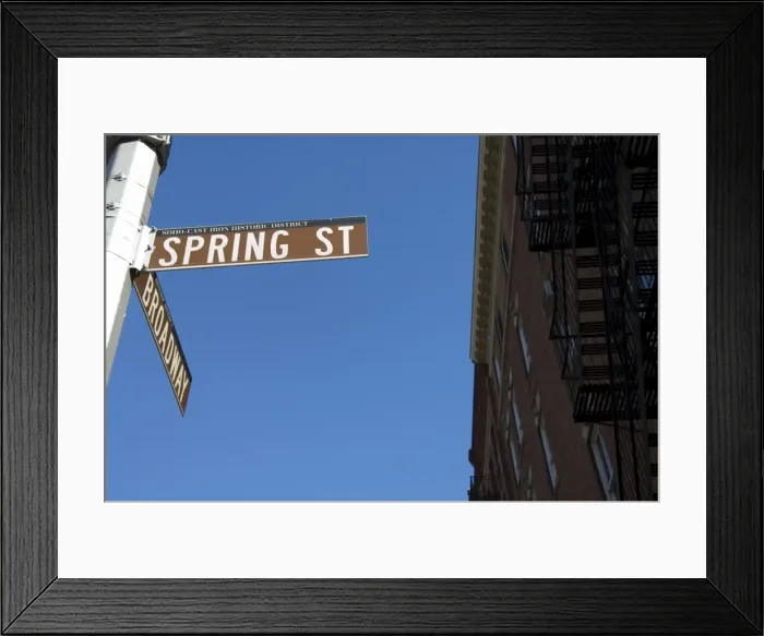 Framed Print : Spring Street Framed Print : Spring Street