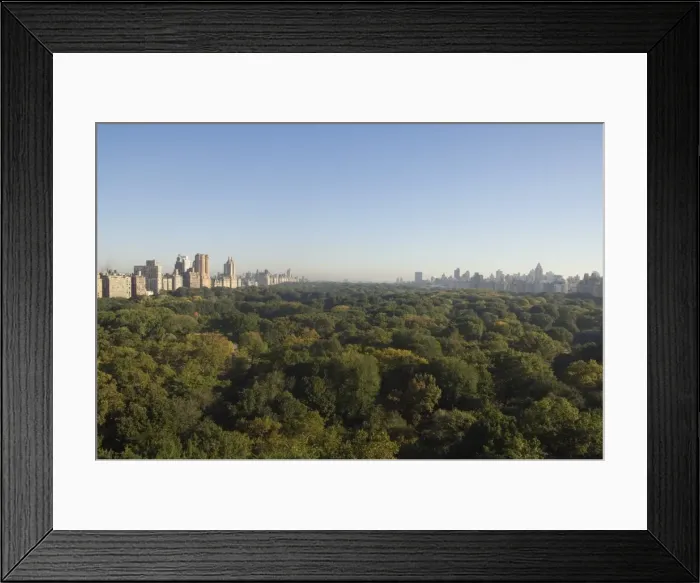 Framed Print : View of Central Park from south looking north Framed Print : View of Central Park from south looking north