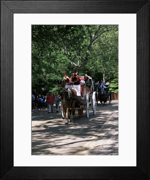 Framed Print : Horse drawn carriage in Central Park Framed Print : Horse drawn carriage in Central Park