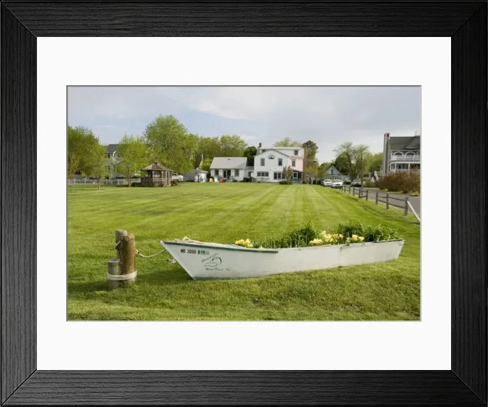 Framed Print : Dogwood Harbour Framed Print : Dogwood Harbour