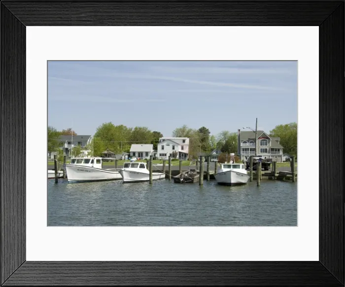 Framed Print : Dogwood Harbour Framed Print : Dogwood Harbour