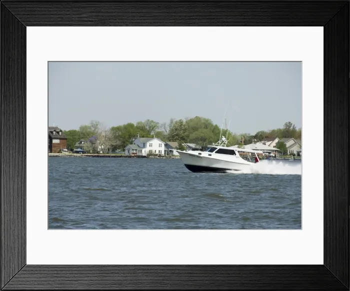 Framed Print : Dogwood Harbour Framed Print : Dogwood Harbour