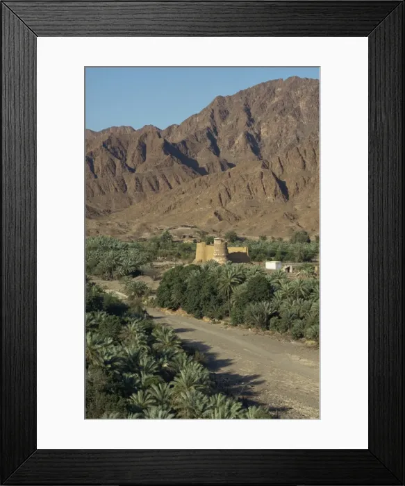 Framed Print : View over the oasis fort of Bithnal Framed Print : View over the oasis fort of Bithnal