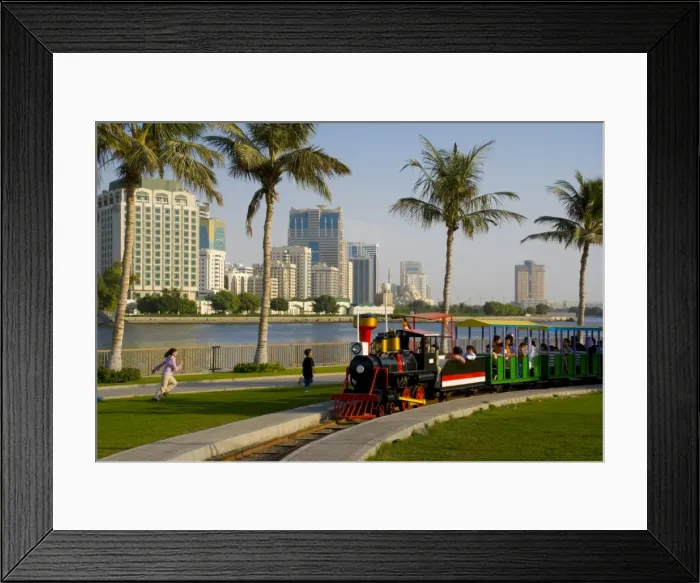 Framed Print : Train in the park Framed Print : Train in the park