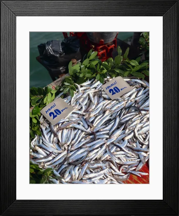 Framed Print : Fish for sale in Istanbul Framed Print : Fish for sale in Istanbul