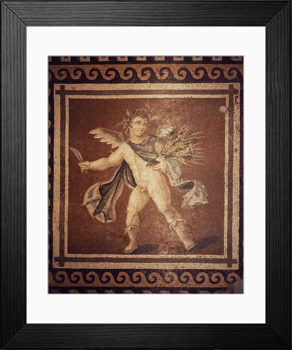 Framed Print : Roman mosaic Framed Print : Roman mosaic