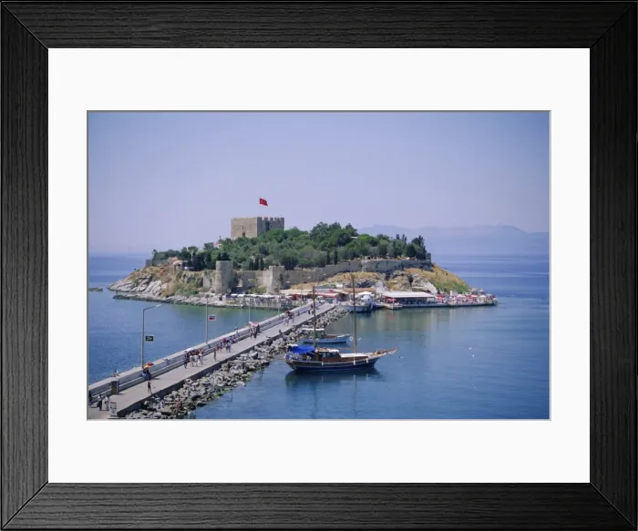 Framed Print : Bird Island Framed Print : Bird Island