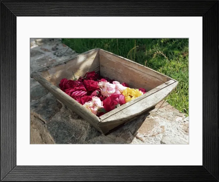 Framed Print : Flowers in old wooden tray Framed Print : Flowers in old wooden tray