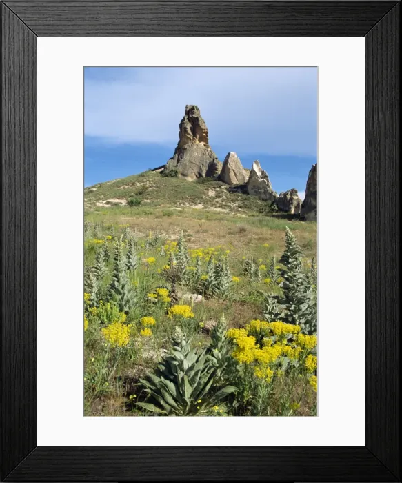 Framed Print : Cappadocia Framed Print : Cappadocia