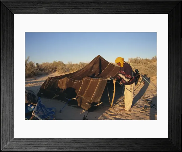 Framed Print : Berber guides erecting traditional tent Framed Print : Berber guides erecting traditional tent