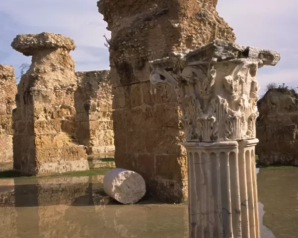 Ruins of the Roman Baths at Carthage