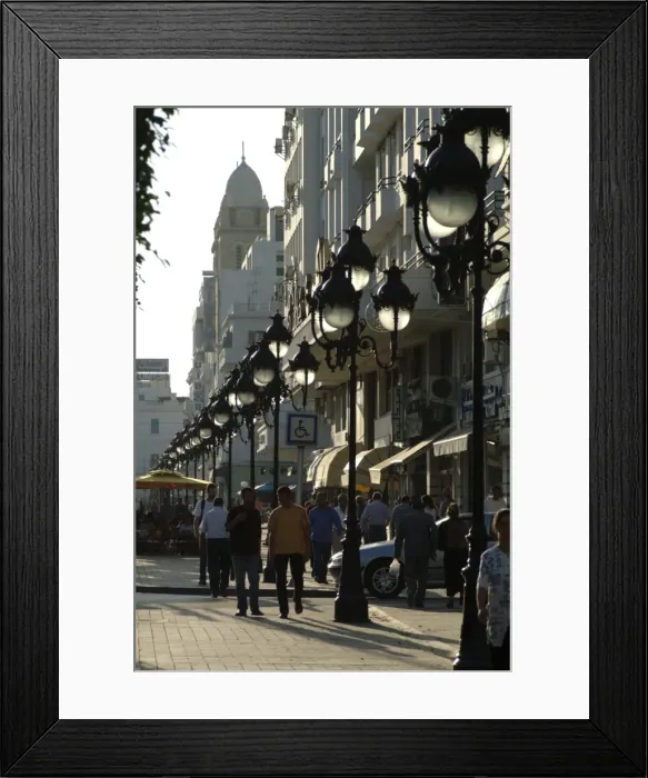 Framed Print : Avenue Habib Bourgiba Framed Print : Avenue Habib Bourgiba