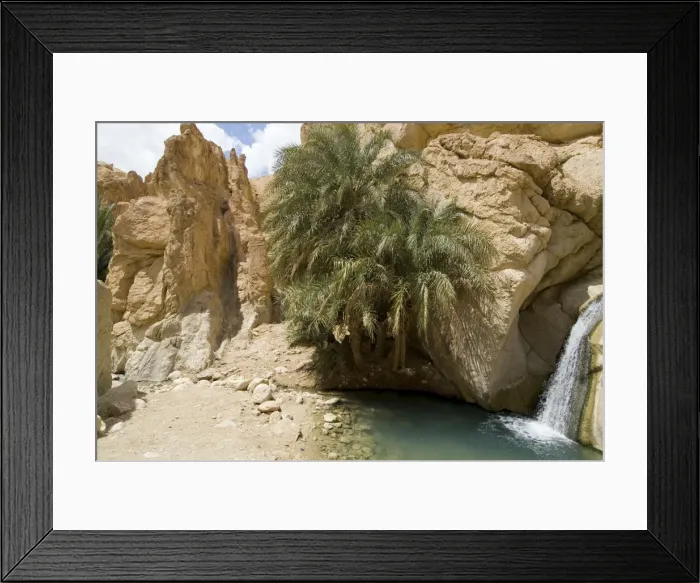 Framed Print : Desert oasis Framed Print : Desert oasis