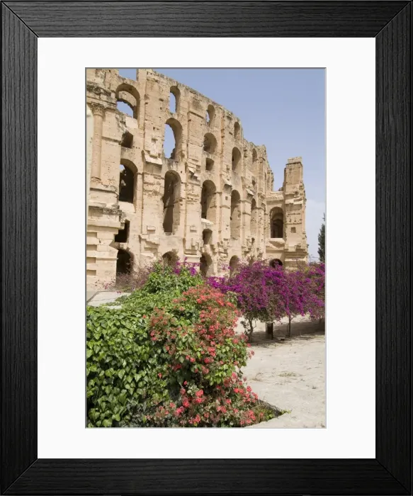 Framed Print : Roman Colosseum Framed Print : Roman Colosseum
